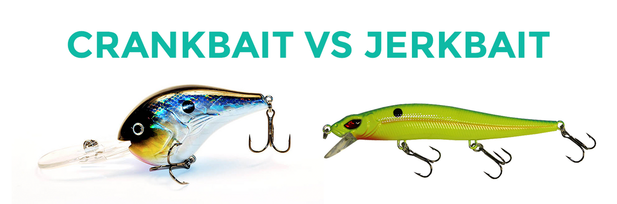 Crank Bait vs Jerk Bait: What's the Difference? PLUS When & How to Use