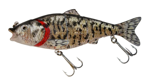 Best Jointed Swimbaits for Bass  Multi Jointed Fishing Lures – Kanan Lures